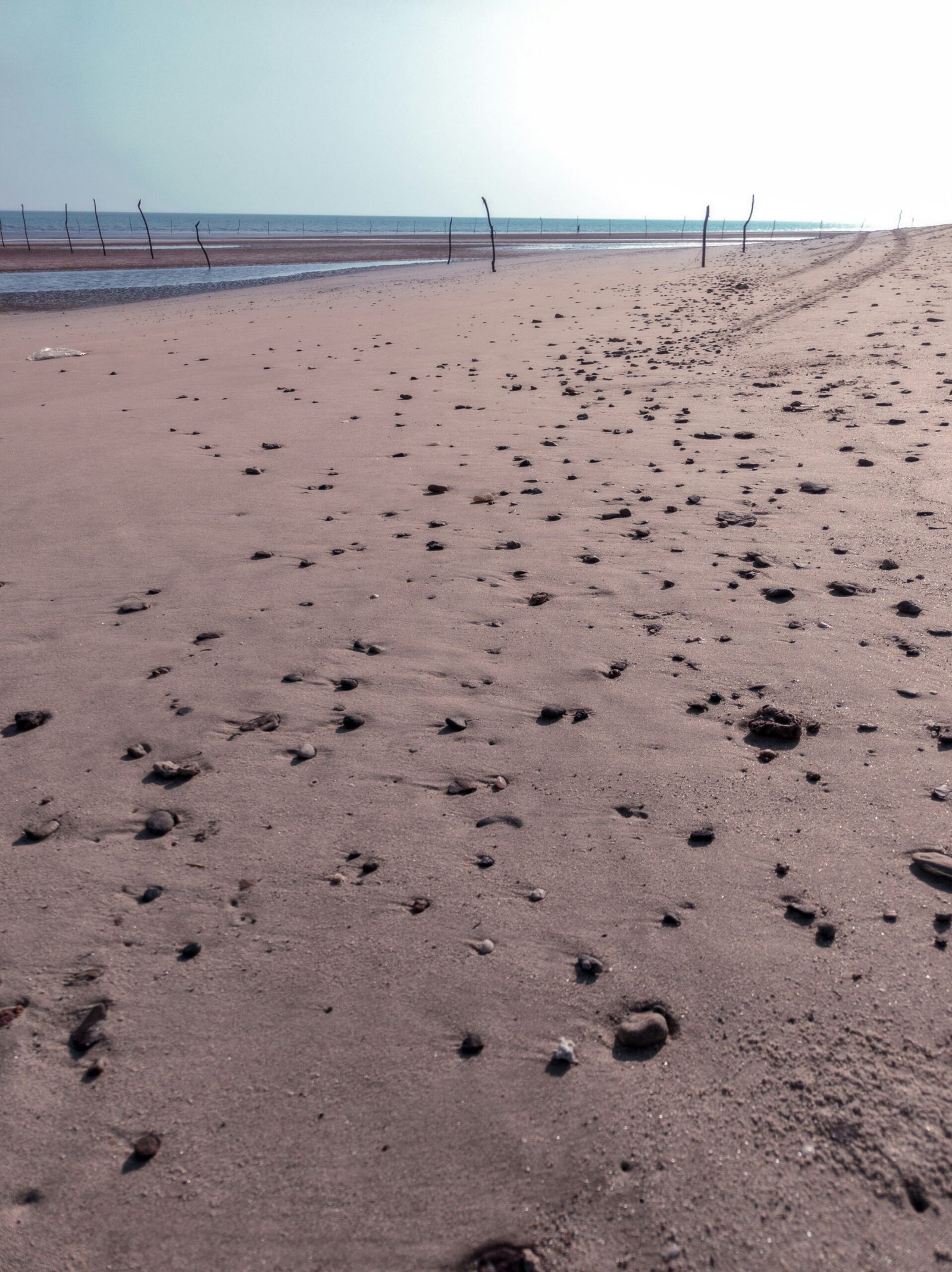 A sandy beach with footprints in the sand